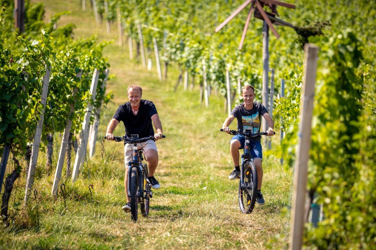 Weingut-Gaestehaus Birnstingl Gamlitz Esterno foto