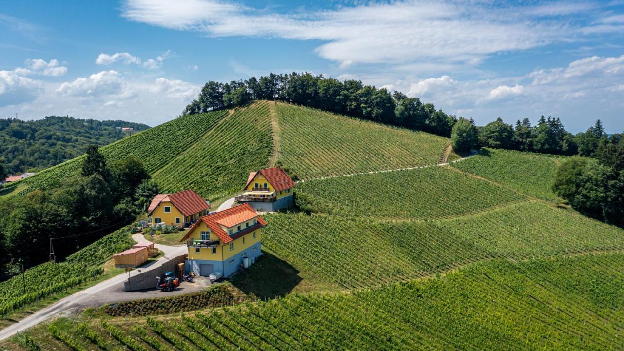 Weingut-Gaestehaus Birnstingl Gamlitz Esterno foto