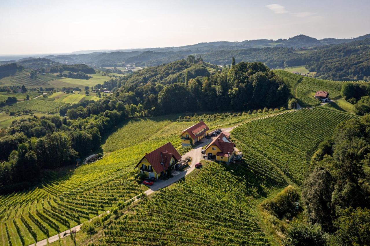 Weingut-Gaestehaus Birnstingl Gamlitz Esterno foto