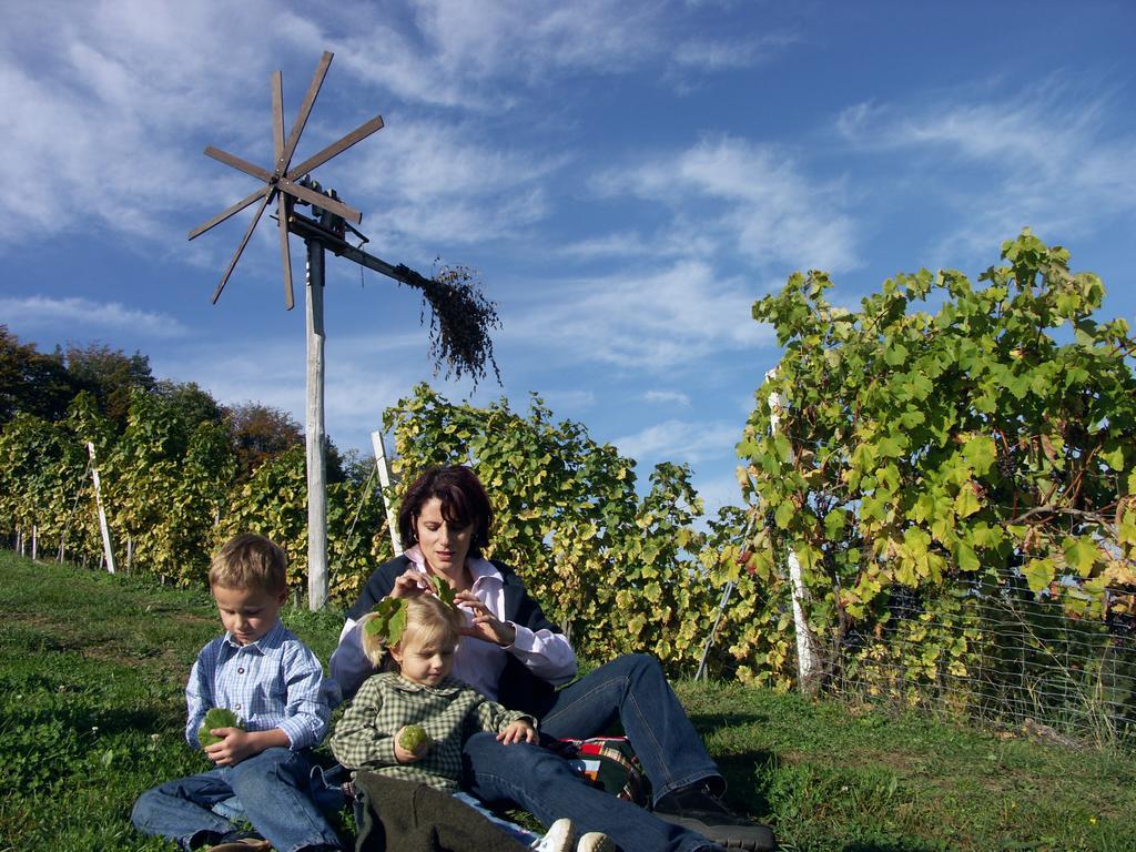 Weingut-Gaestehaus Birnstingl Gamlitz Esterno foto